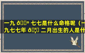 一九 🌺 七七是什么命格呢（一九七七年 🦊 二月出生的人是什么命）